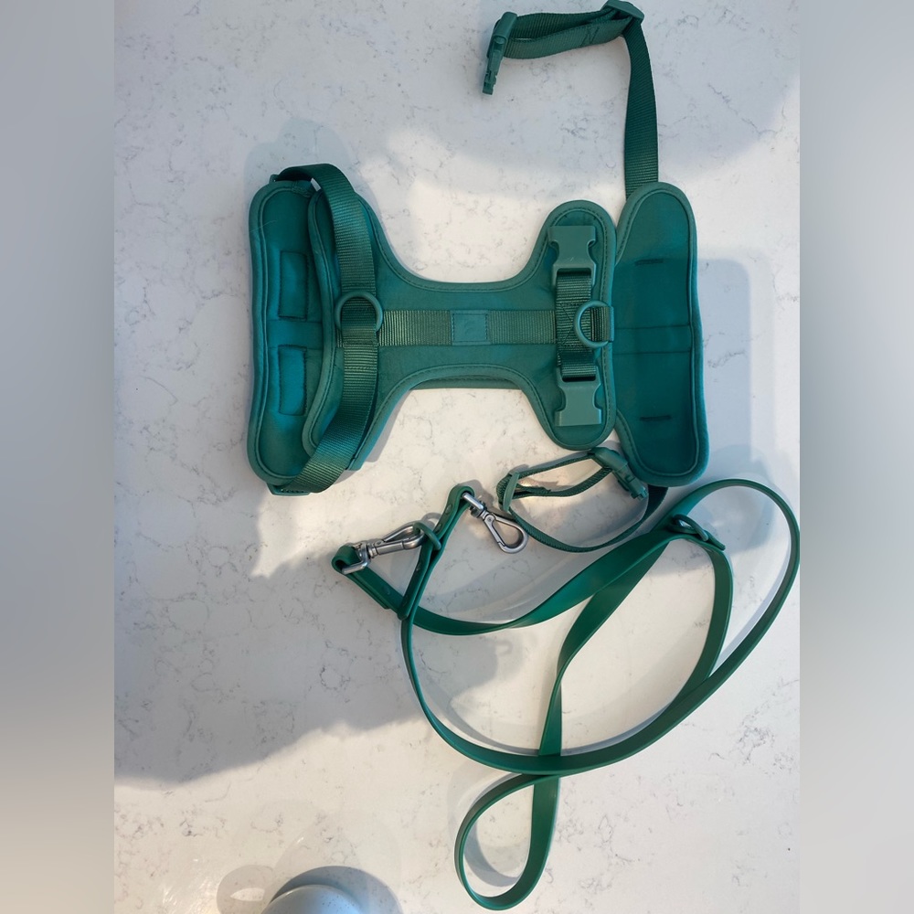 Wild One Harness and Leash Large